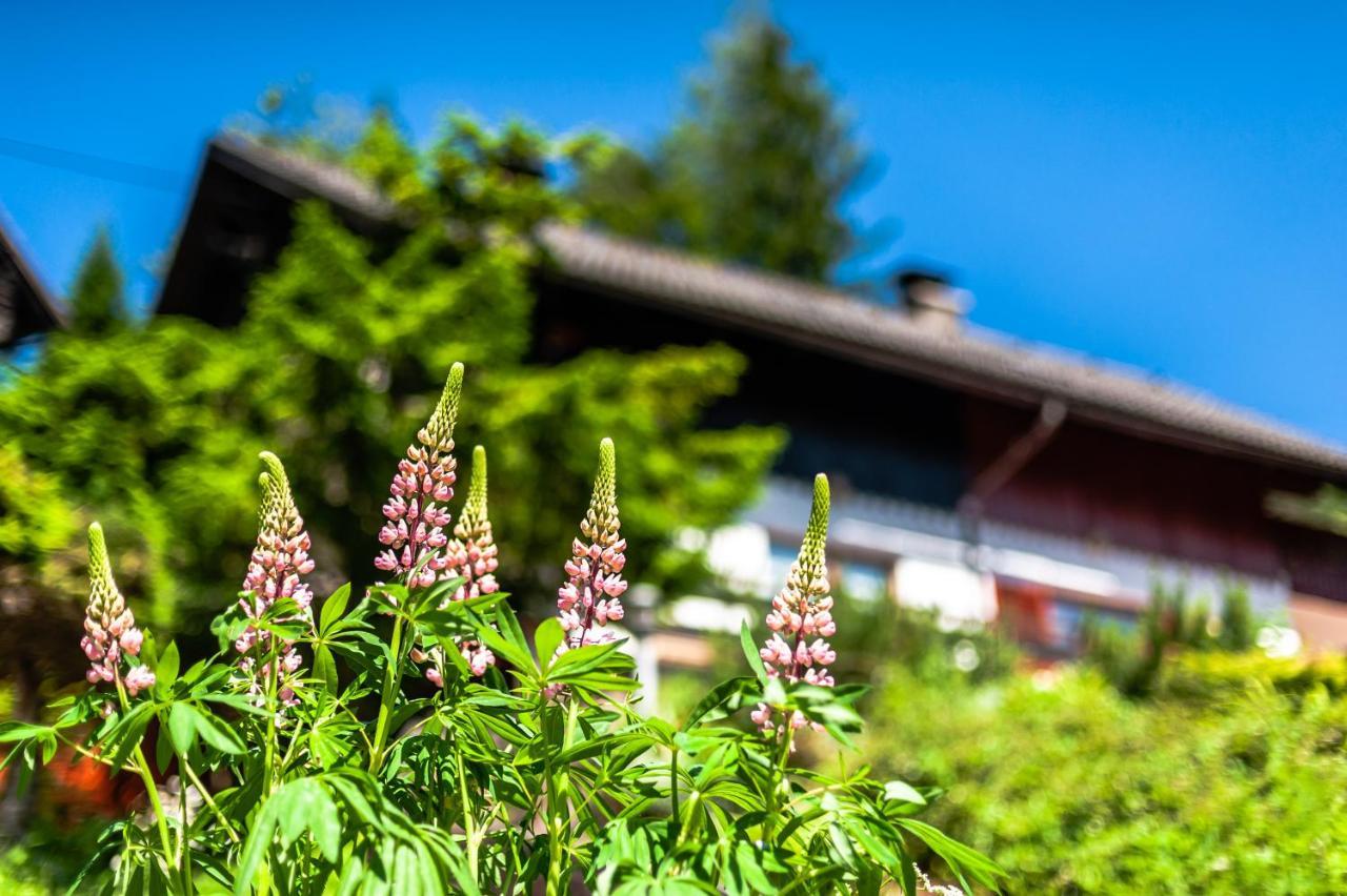 Villa House Moose'T Getaway, Kranjska Gora Exterior foto