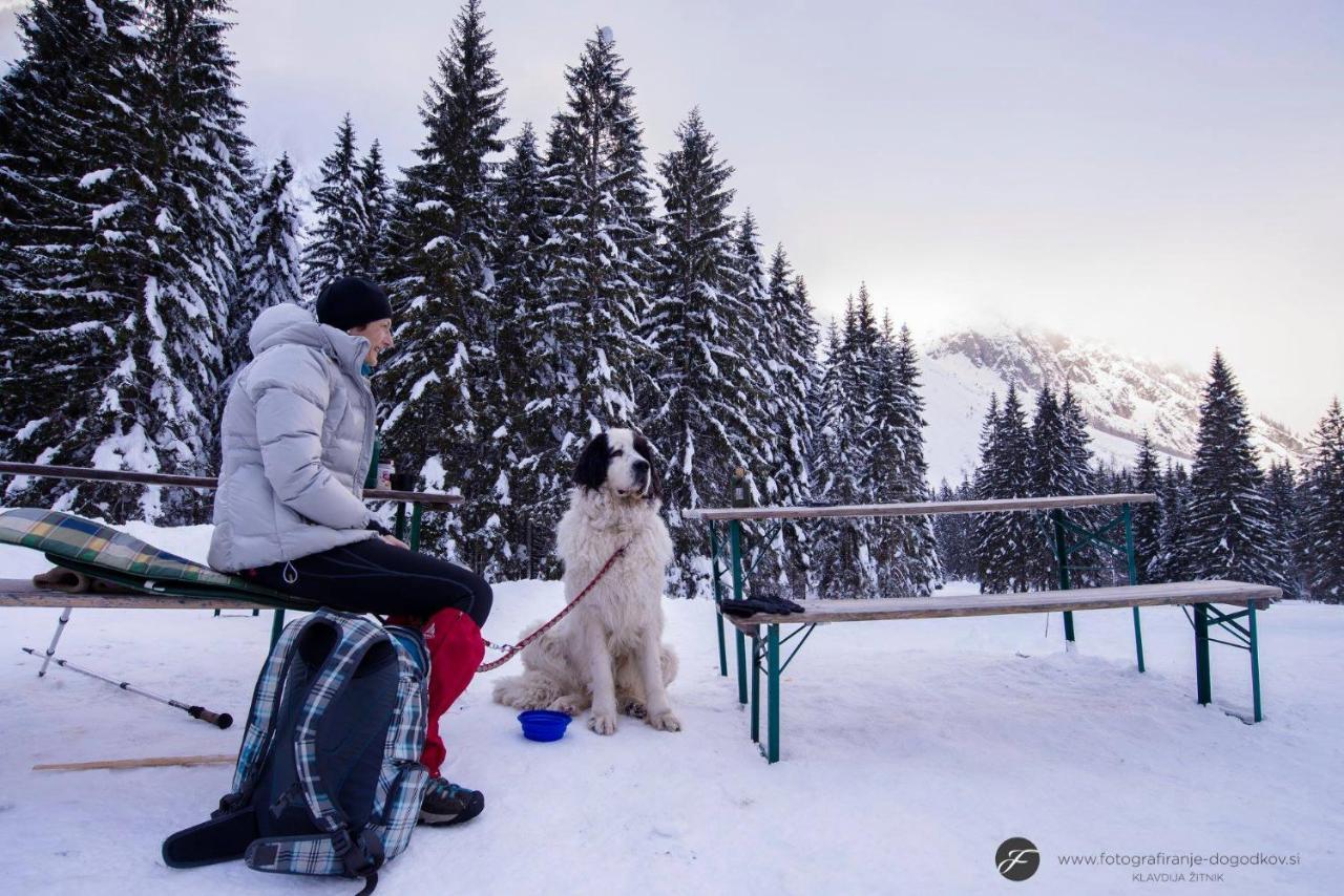 Villa House Moose'T Getaway, Kranjska Gora Exterior foto