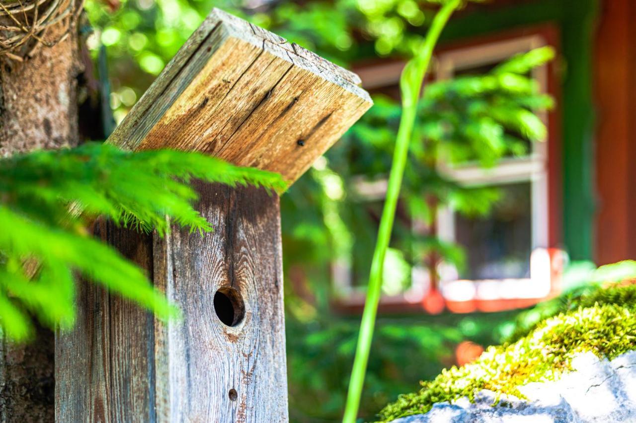 Villa House Moose'T Getaway, Kranjska Gora Exterior foto